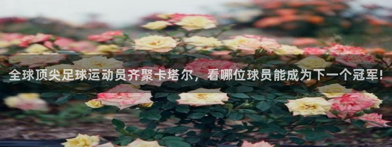 2026年足球世界杯赛程时间表：全球顶尖足球运动员齐聚卡塔尔，看哪位球员能成为下一个冠军!