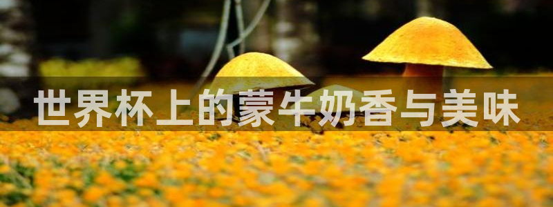女足世界杯直播:世界杯上的蒙牛奶香与美味