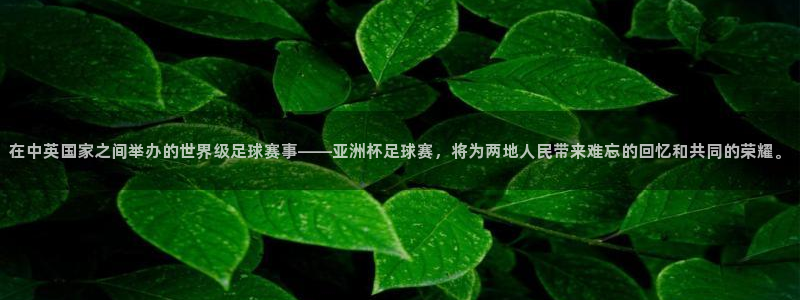 世界杯比赛赛程：在中英国家之间举办的世界级足球赛事——亚洲杯足球赛，将为两地人民带来难忘的回忆和共同的荣耀。
