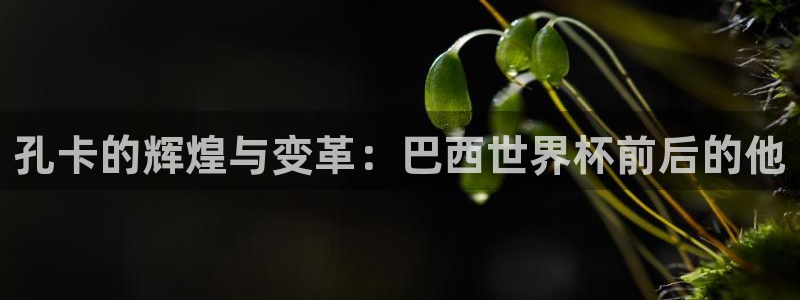 亚洲区世界杯预选赛：孔卡的辉煌与变革：巴西世界杯前后的他