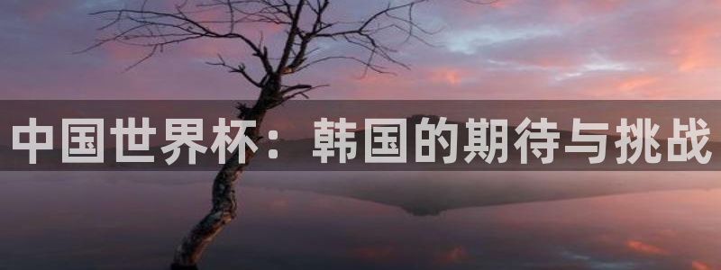 世界杯比赛直播：中国世界杯：韩国的期待与挑战