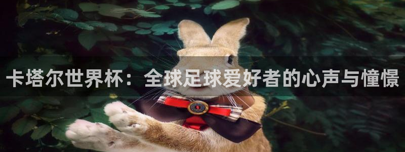 世界杯足球：卡塔尔世界杯：全球足球爱好者的心声与憧憬