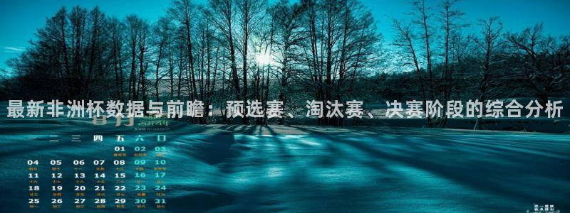 澳门世界杯直播：最新非洲杯数据与前瞻：预选赛、淘汰赛、决赛阶段的综合分析