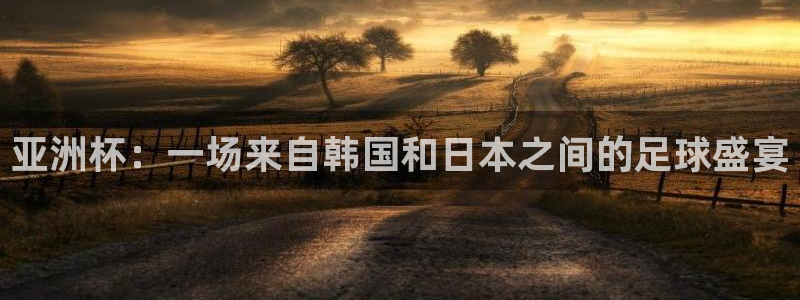 2026世界杯32强对阵图表：亚洲杯：一场来自韩国和日本之间的足球盛宴