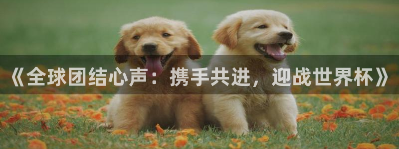 足球世界杯时间：《全球团结心声：携手共进，迎战世界杯》