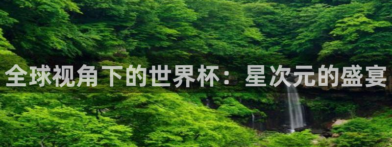 世界杯预选赛赛程表：全球视角下的世界杯：星次元的盛宴