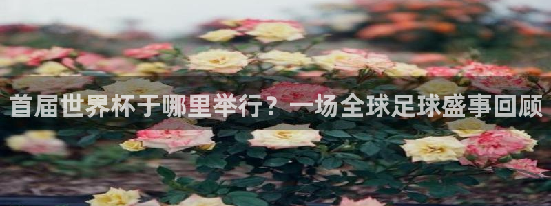 世界杯直播观看：首届世界杯于哪里举行？一场全球足球盛事回顾