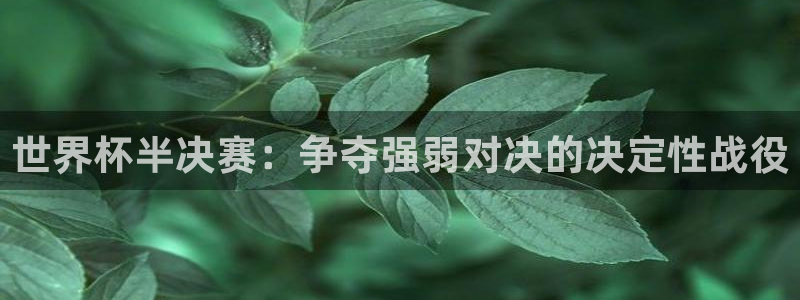 世界杯亚洲区预选赛：世界杯半决赛：争夺强弱对决的决定性战役
