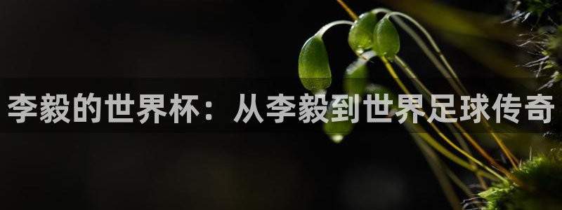 世界杯直播时间：李毅的世界杯：从李毅到世界足球传奇